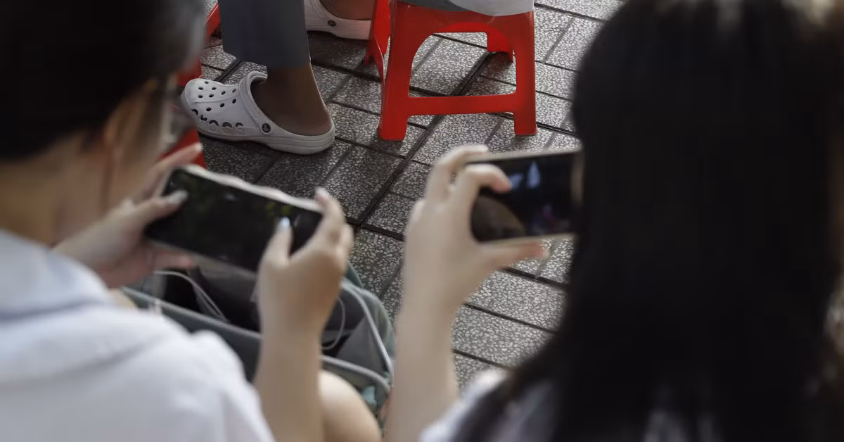 (Ảnh minh họa từ Internet)