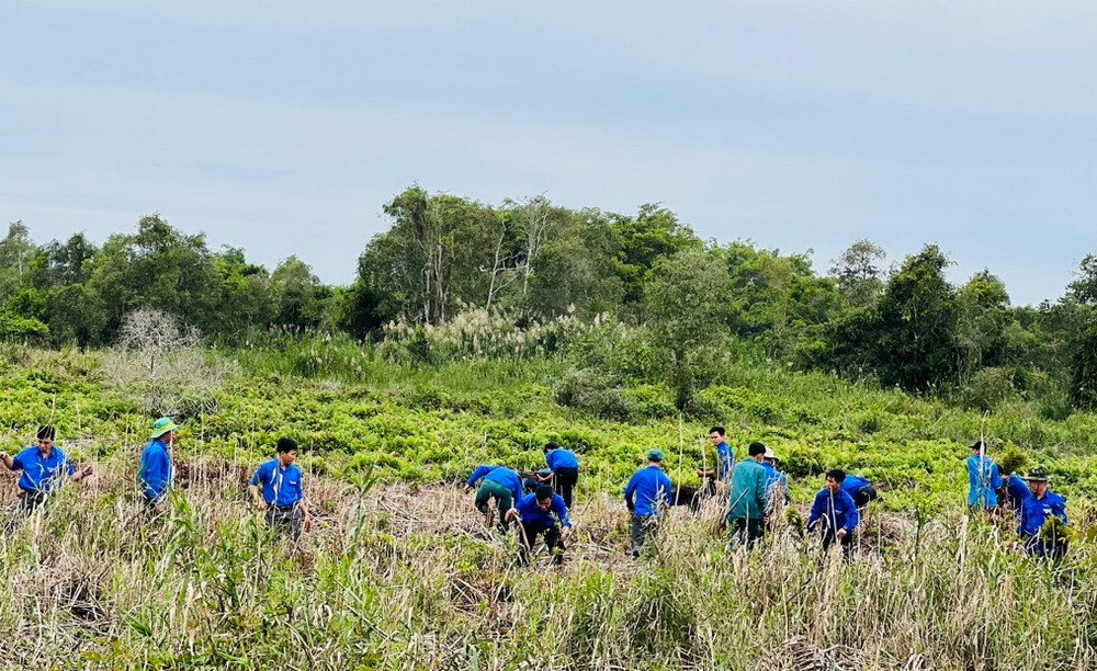 Đoàn viên ra quân hỗ trợ trồng rừng. Đoàn viên ra quân hỗ trợ trồng rừng.
