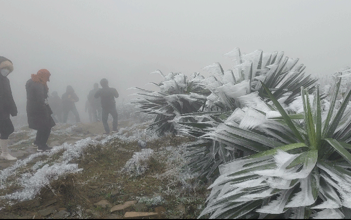 (Ảnh minh họa từ Internet) (Ảnh minh họa từ Internet)