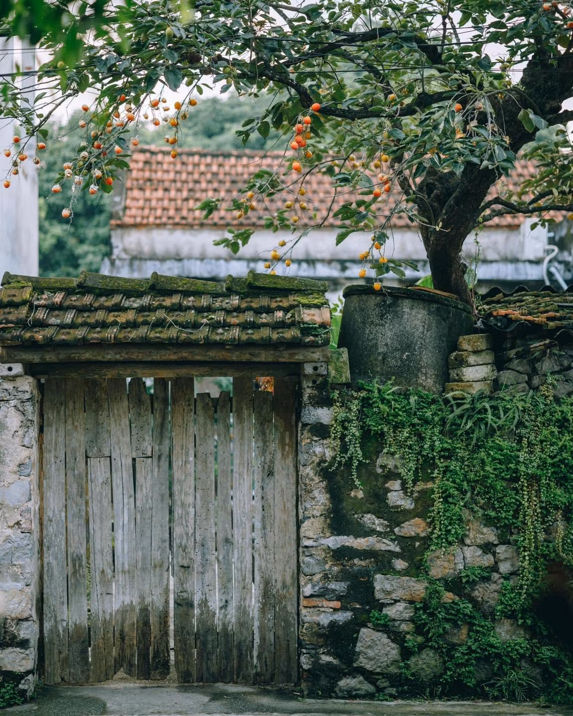 (Ảnh: Sơn Đoàn)