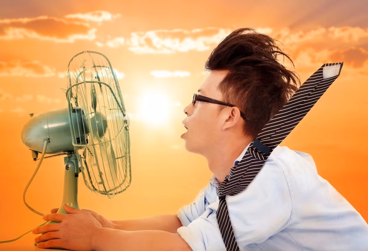(Ảnh minh hoạ từ Internet)