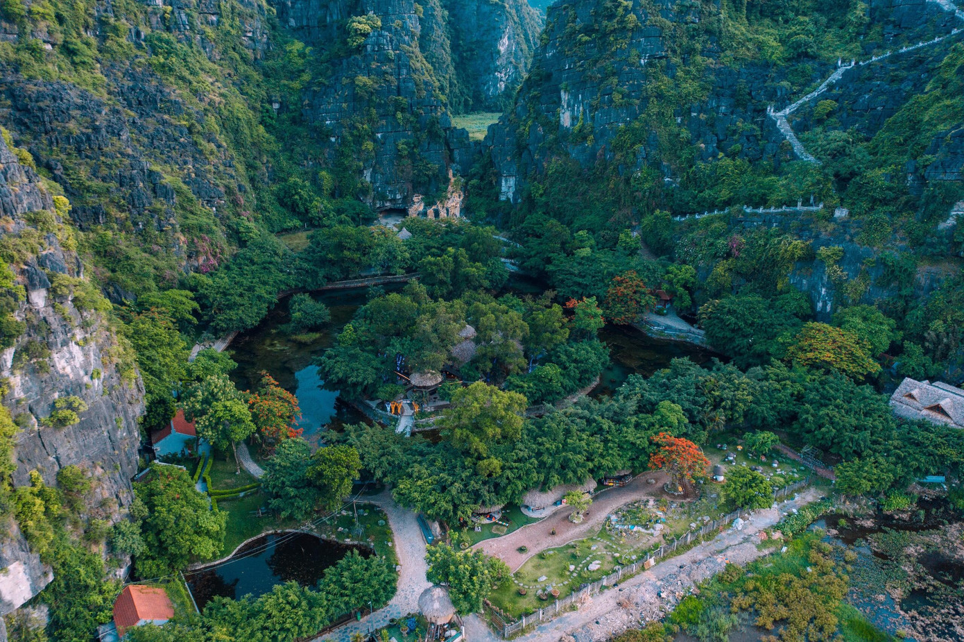 (Ảnh: Hang Múa Ecolodge)