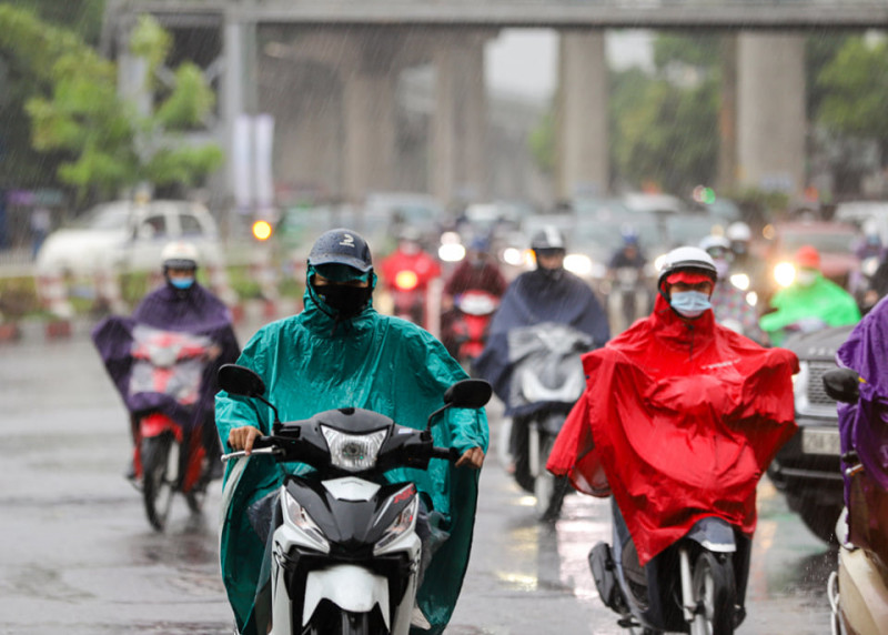 (Ảnh minh họa từ Internet)