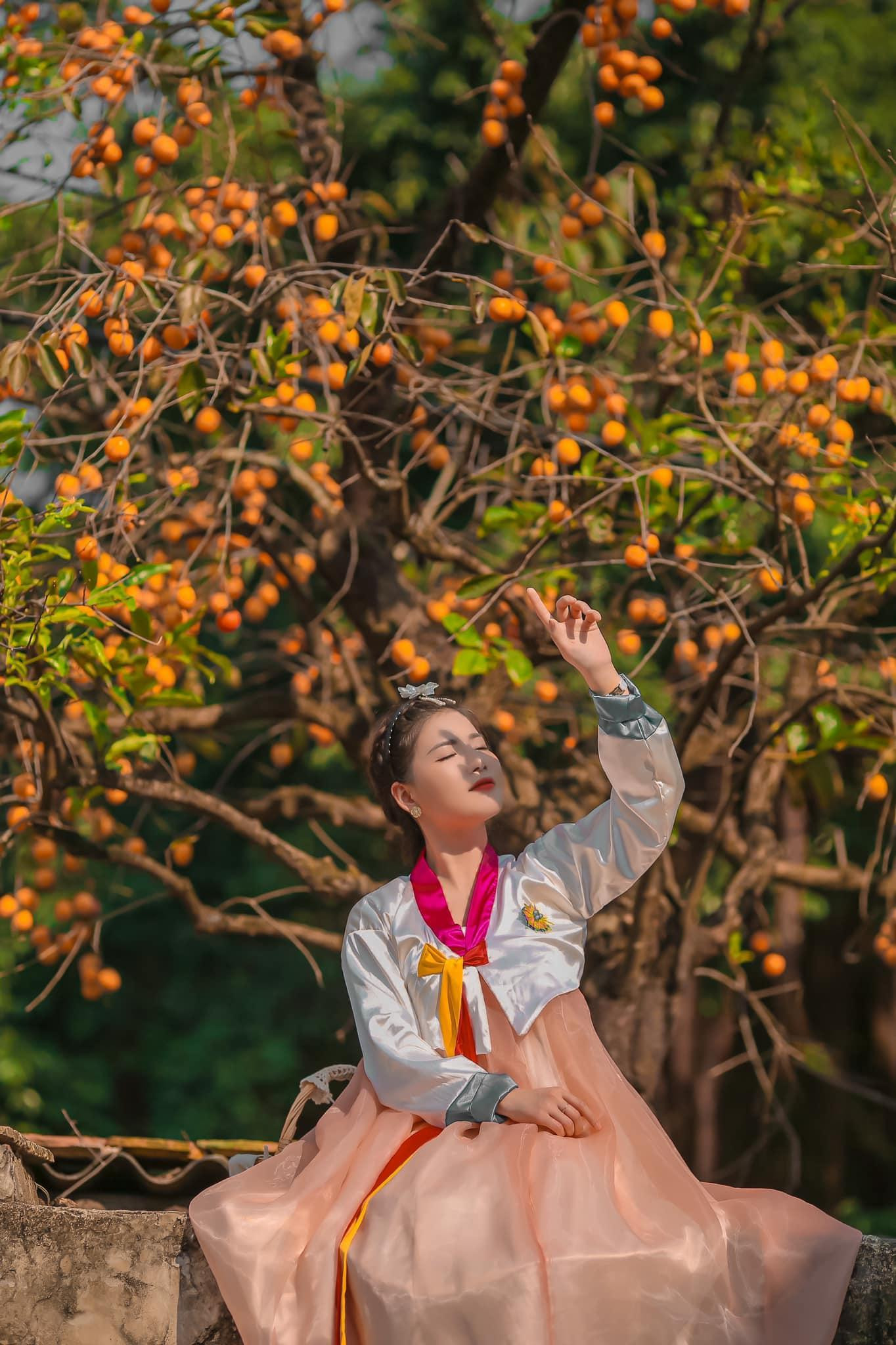 Cây hồng cổ trở thành bối cảnh chụp ảnh "sống ảo" yêu thích của nhiều bạn trẻ. Cây hồng cổ trở thành bối cảnh chụp ảnh "sống ảo" yêu thích của nhiều bạn trẻ.