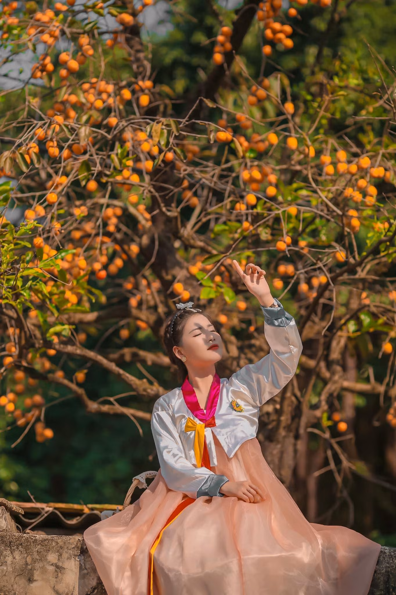 Cây hồng cổ trở thành bối cảnh chụp ảnh "sống ảo" yêu thích của nhiều bạn trẻ.