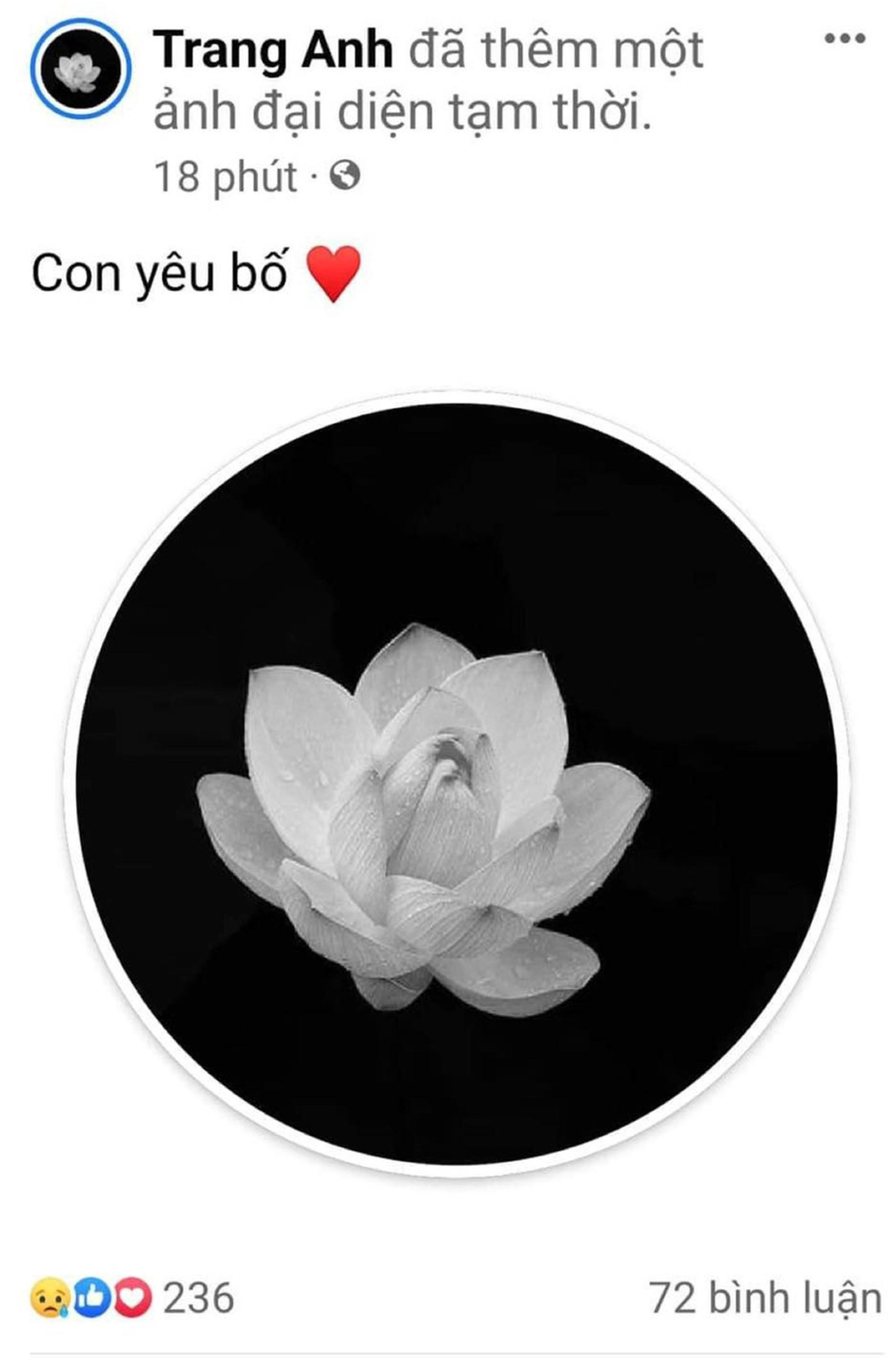 Tô Thị Trang cập nhật ảnh đại diện mới kèm chia sẻ xúc động "Con yêu bố" trên trang cá nhân.