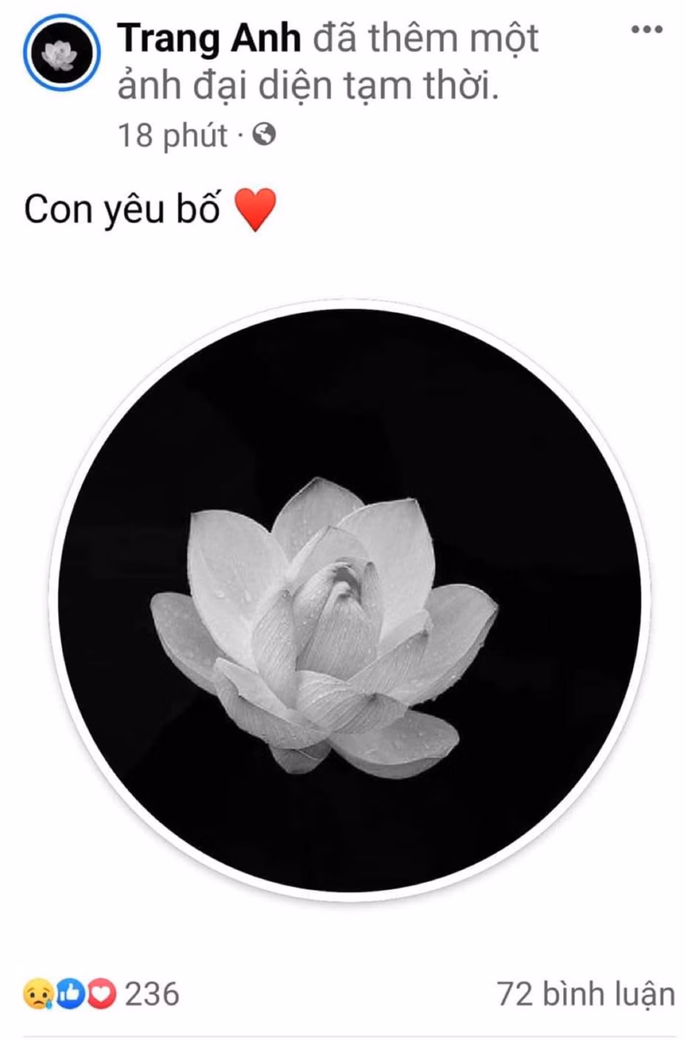 Tô Thị Trang cập nhật ảnh đại diện mới kèm chia sẻ xúc động "Con yêu bố" trên trang cá nhân. Tô Thị Trang cập nhật ảnh đại diện mới kèm chia sẻ xúc động "Con yêu bố" trên trang cá nhân.