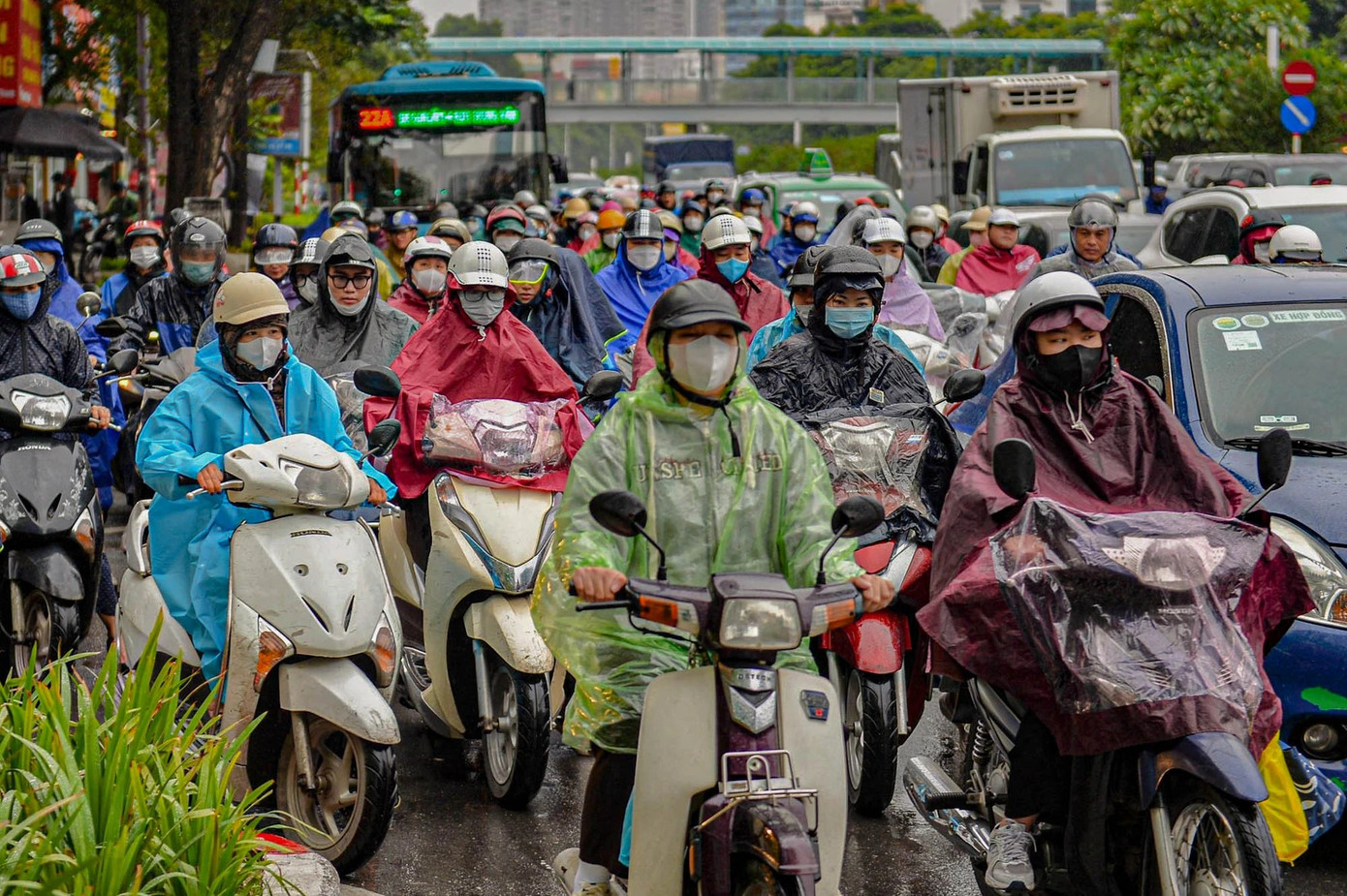 (Ảnh minh hoạ từ Internet)