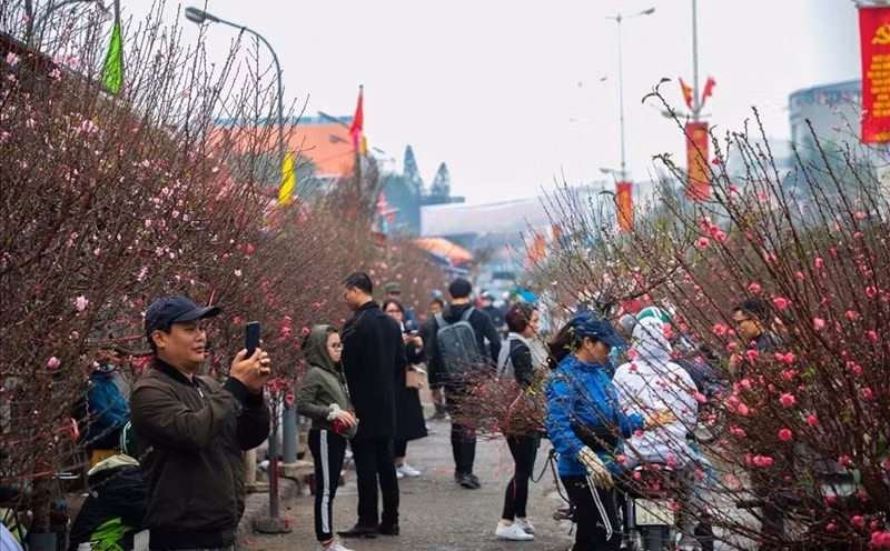 (Ảnh minh họa từ Internet)