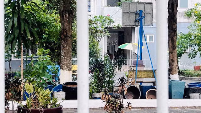 Hiện trường xảy ra vụ việc thương tâm ở trường Tiểu học Tương Bình Hiệp. (Ảnh: Nguyễn Huyền Trang/TTXVN)