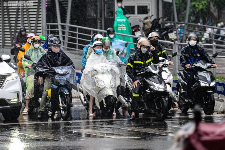 (Ảnh minh hoạ từ Internet)