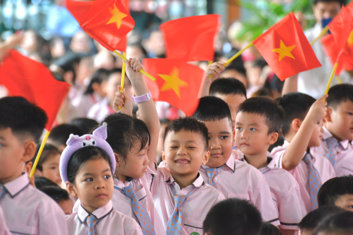 (Ảnh minh họa từ Internet)