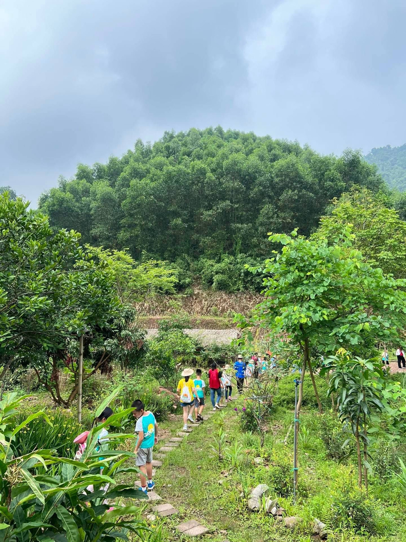 Mô hình trải nghiệm Làng Háo Hức là một trong những trại Hè nổi đình đám. Mô hình trải nghiệm Làng Háo Hức là một trong những trại Hè nổi đình đám.