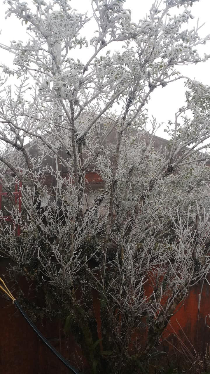 Băng giá trên đỉnh Phia Oắc. (Ảnh: Truyền hình an ninh Cao Bằng)