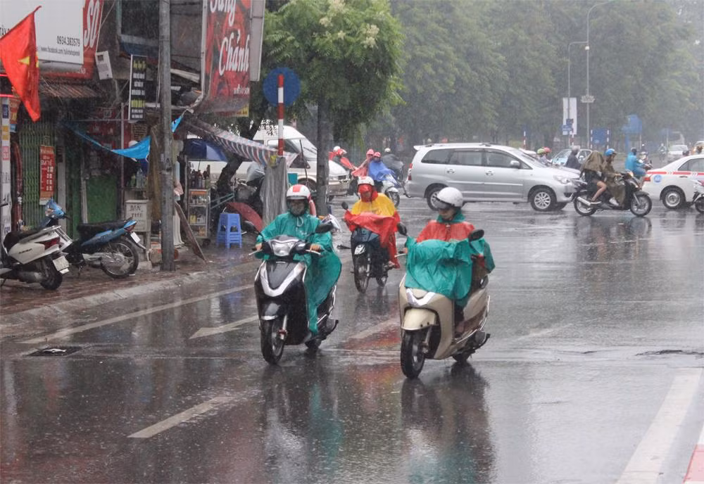 (Ảnh minh hoạ từ Internet)