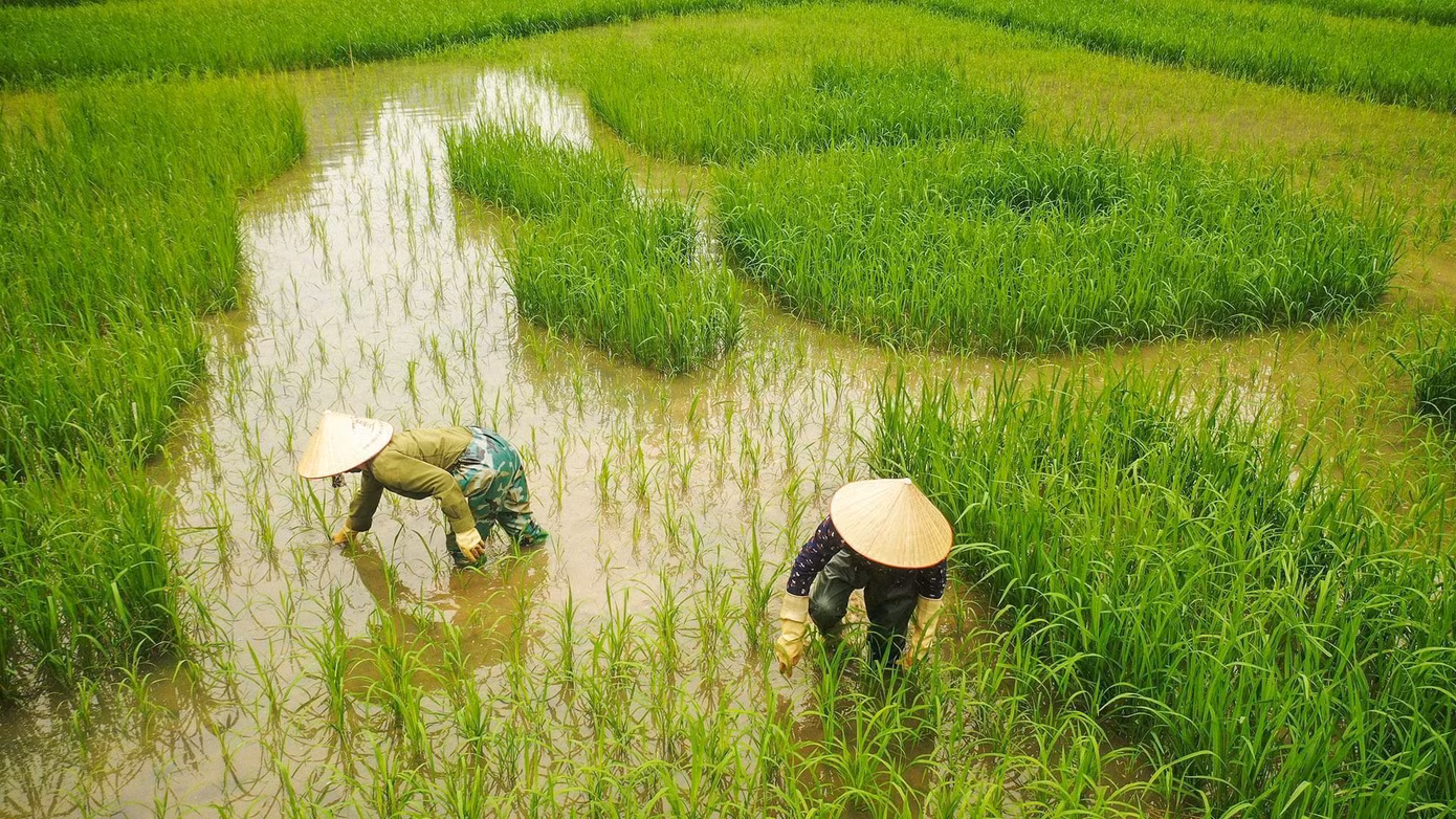 (Ảnh: Trường Huy)