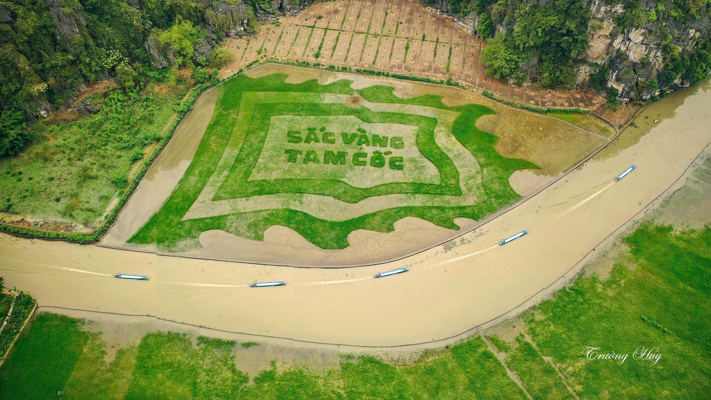 (Ảnh: Trường Huy)