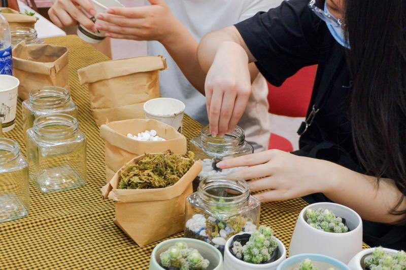 Những chậu cây sen đá nhỏ xinh giúp bạn thêm yêu môi trường sống. Những chậu cây sen đá nhỏ xinh giúp bạn thêm yêu môi trường sống.