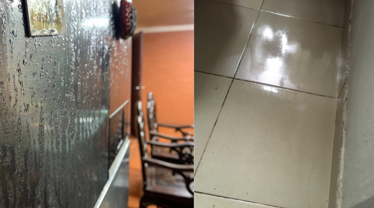 (Ảnh minh hoạ từ Internet)