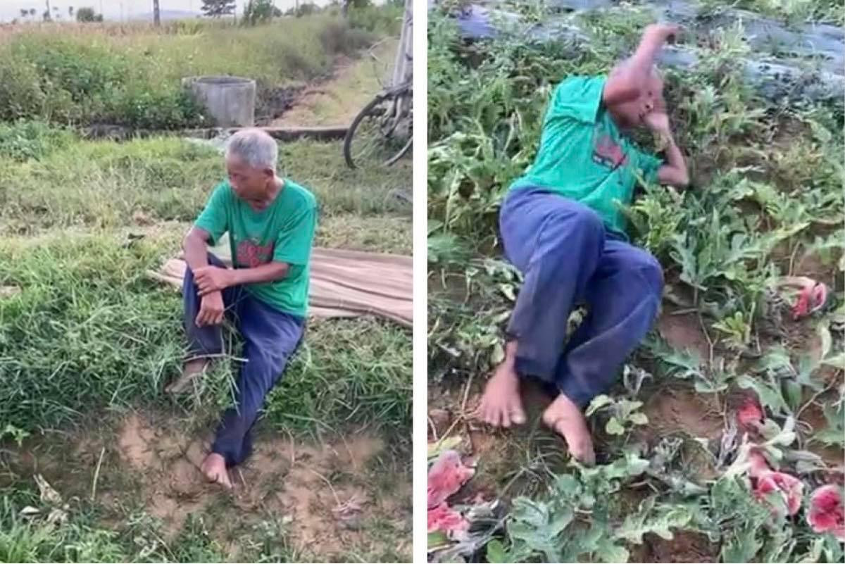 (Ảnh cắt từ clip) (Ảnh cắt từ clip)