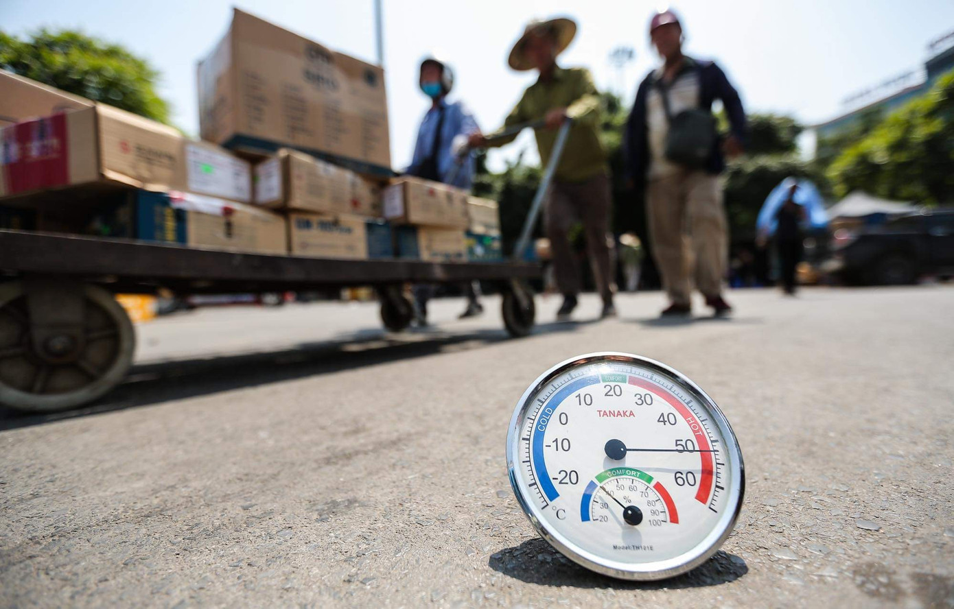 (Ảnh minh hoạ từ Internet) (Ảnh minh hoạ từ Internet)