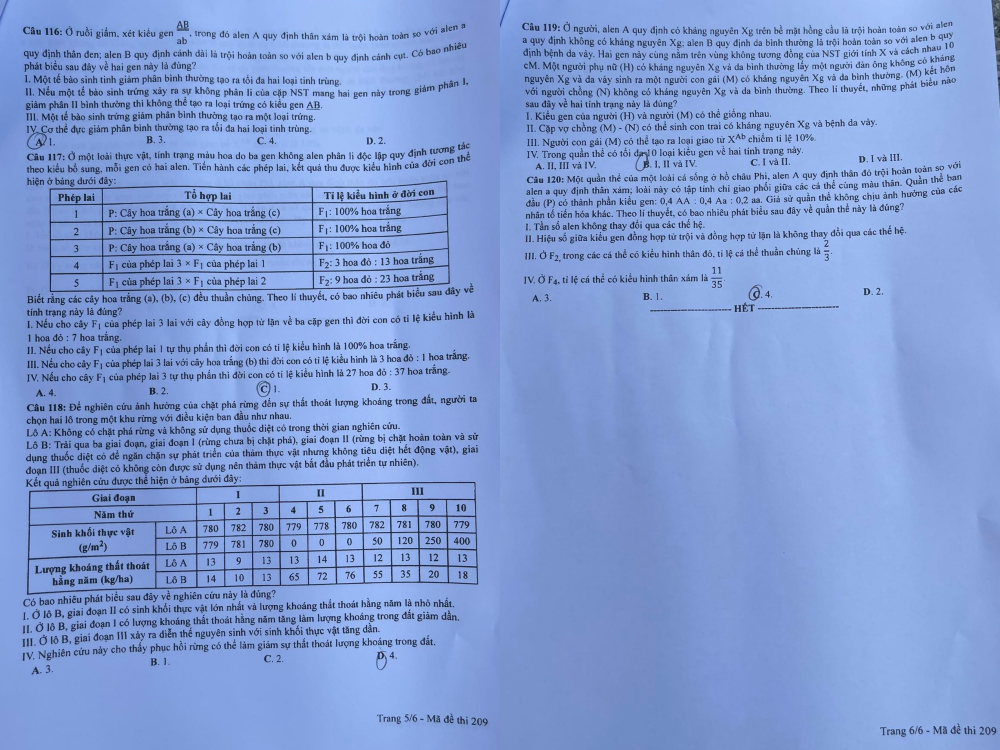 Đề thi môn Sinh học mã đề 209.