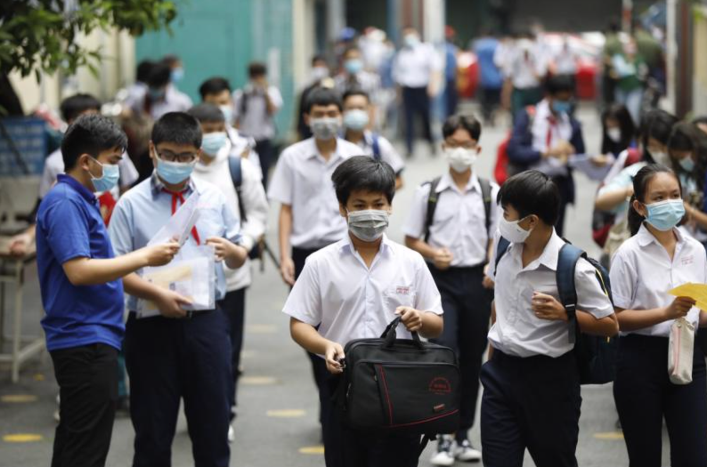 (Ảnh minh họa từ Internet)