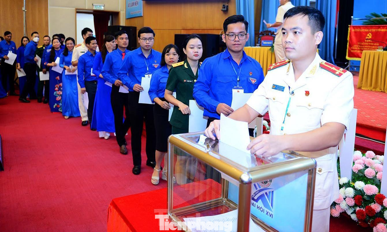 (Ảnh: TPO) (Ảnh: TPO)