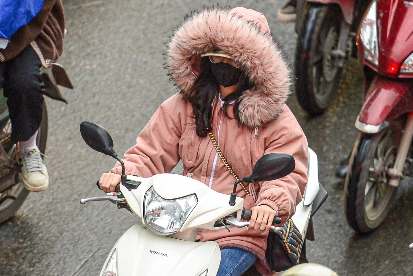 (Ảnh minh họa từ Internet) (Ảnh minh họa từ Internet)