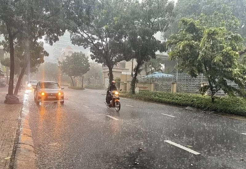 (Ảnh minh hoạ từ Internet)