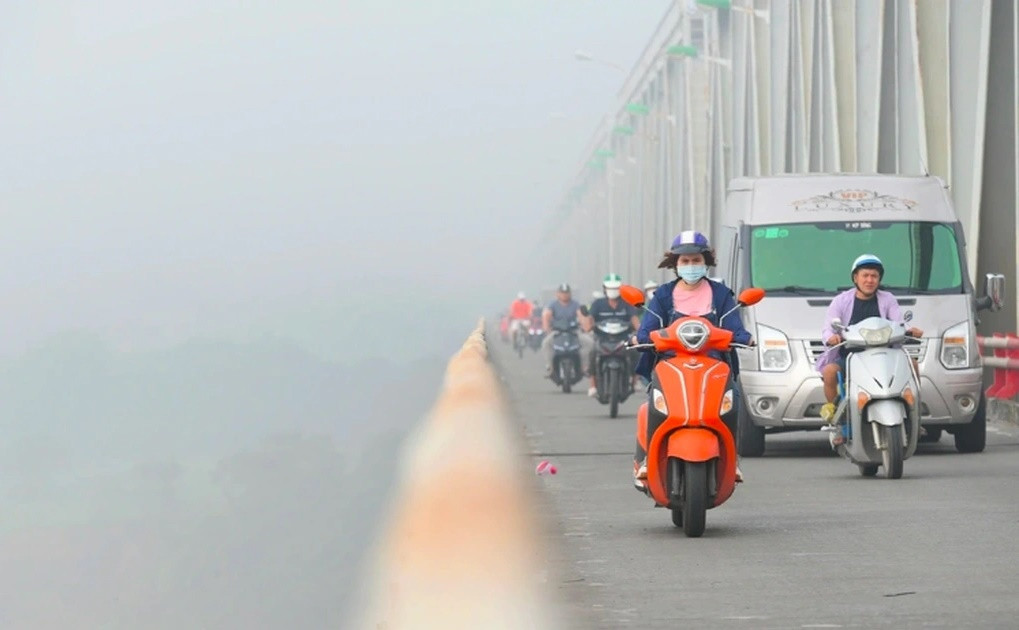 (Ảnh minh họa từ Internet)