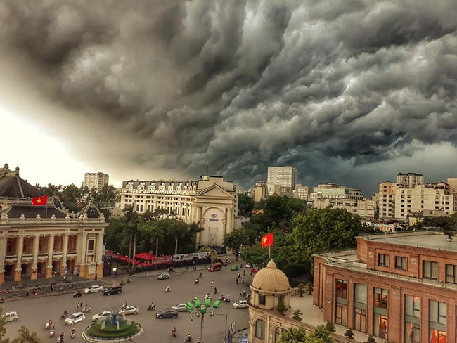 (Ảnh minh họa từ Internet)