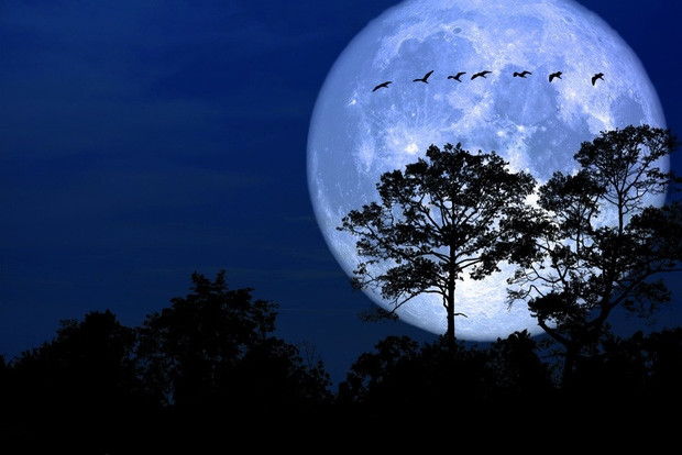 (Ảnh minh họa từ Internet)