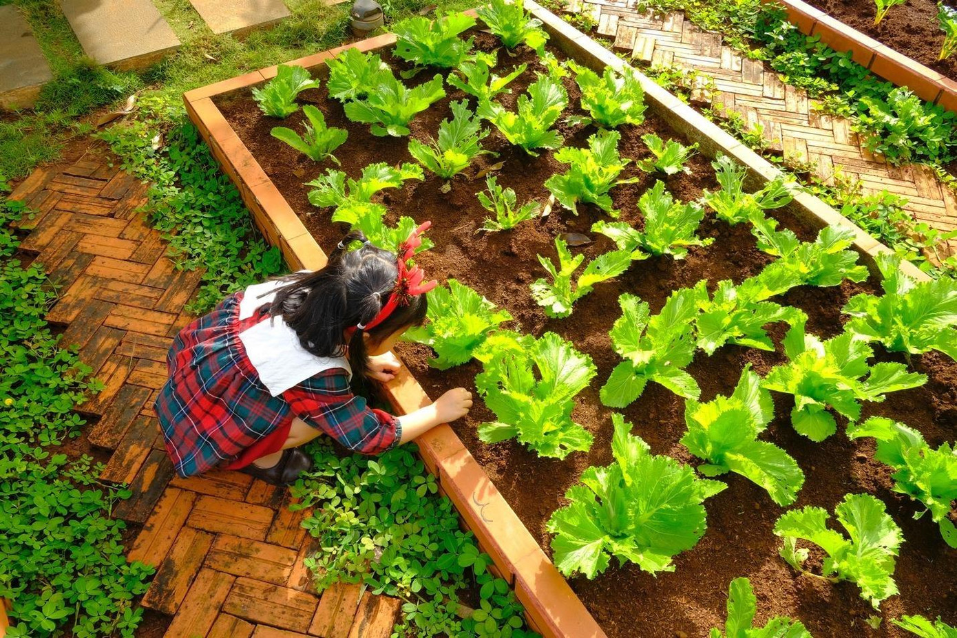 Các bạn nhỏ được tự tay trang trí từng góc vườn, học cách trồng và chăm sóc cây cối cũng như nuôi dưỡng tình yêu với thiên nhiên. Các bạn nhỏ được tự tay trang trí từng góc vườn, học cách trồng và chăm sóc cây cối cũng như nuôi dưỡng tình yêu với thiên nhiên.