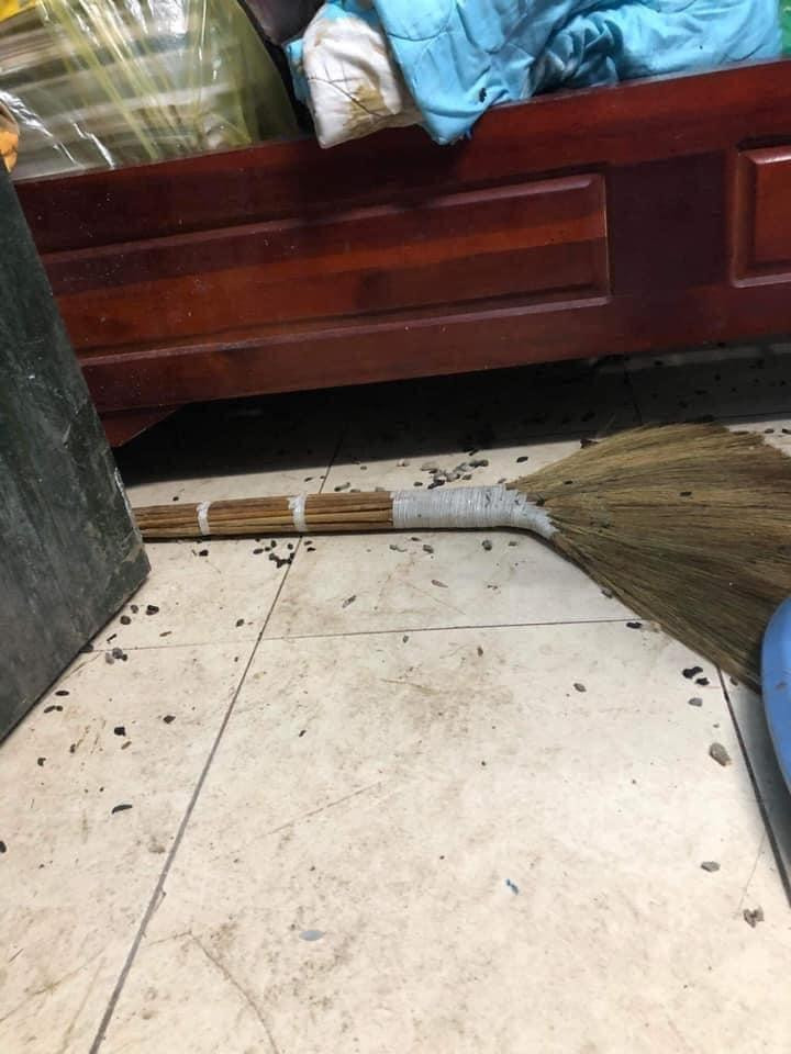 Căn phòng trọ của nam sinh trường Đại học Giao thông Vận tải bị hội côn trùng, chuột, gián... "tàn phá". Căn phòng trọ của nam sinh trường Đại học Giao thông Vận tải bị hội côn trùng, chuột, gián... "tàn phá".