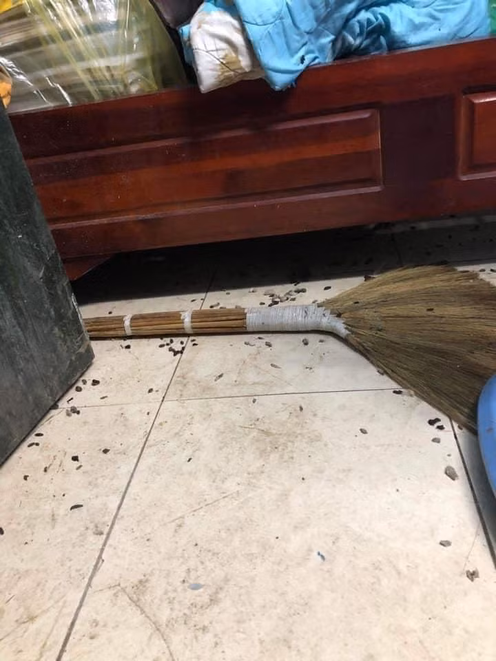 Căn phòng trọ của nam sinh trường Đại học Giao thông Vận tải bị hội côn trùng, chuột, gián... "tàn phá".