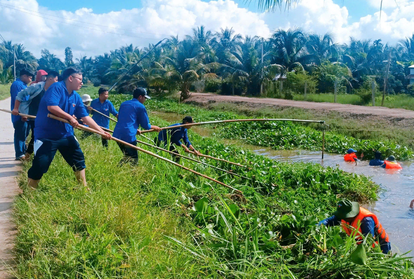 Đoàn viên, hội viên, thanh niên thực hiện vớt lục bình khơi thông dòng chảy tại tuyến kên N32 ấp Công Thiện Hùng, xã Long Đức.