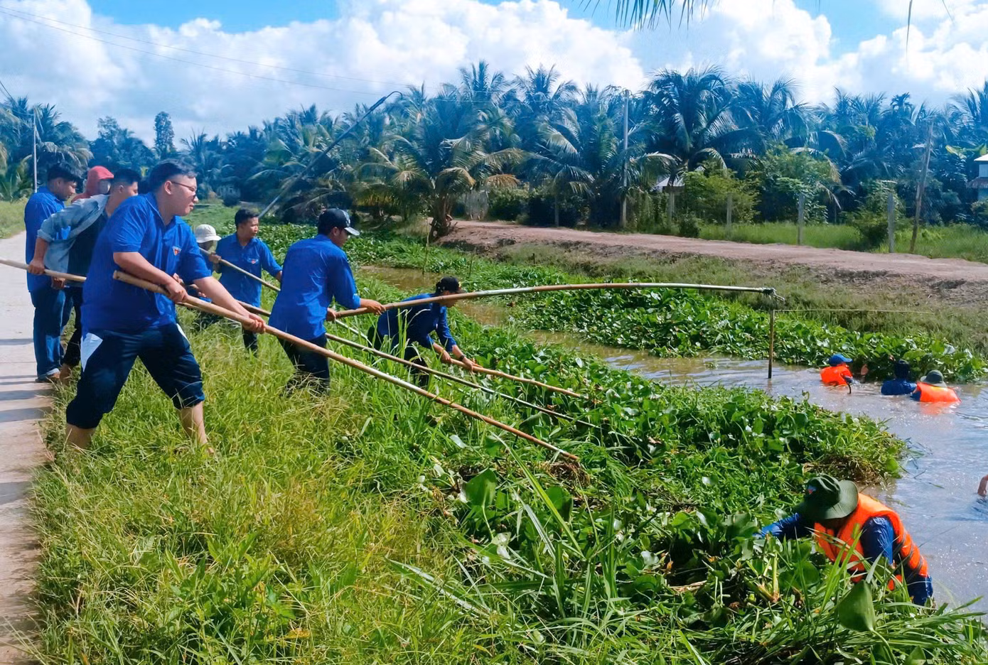 Đoàn viên, hội viên, thanh niên thực hiện vớt lục bình khơi thông dòng chảy tại tuyến kên N32 ấp Công Thiện Hùng, xã Long Đức.