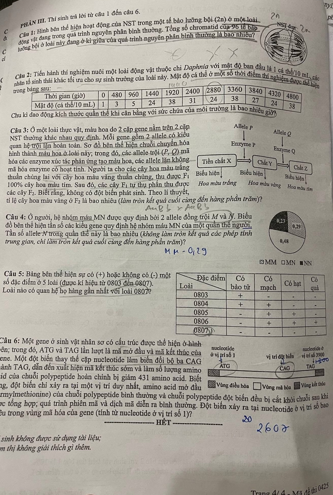 Đề thi môn Sinh học - mã đề 0425.