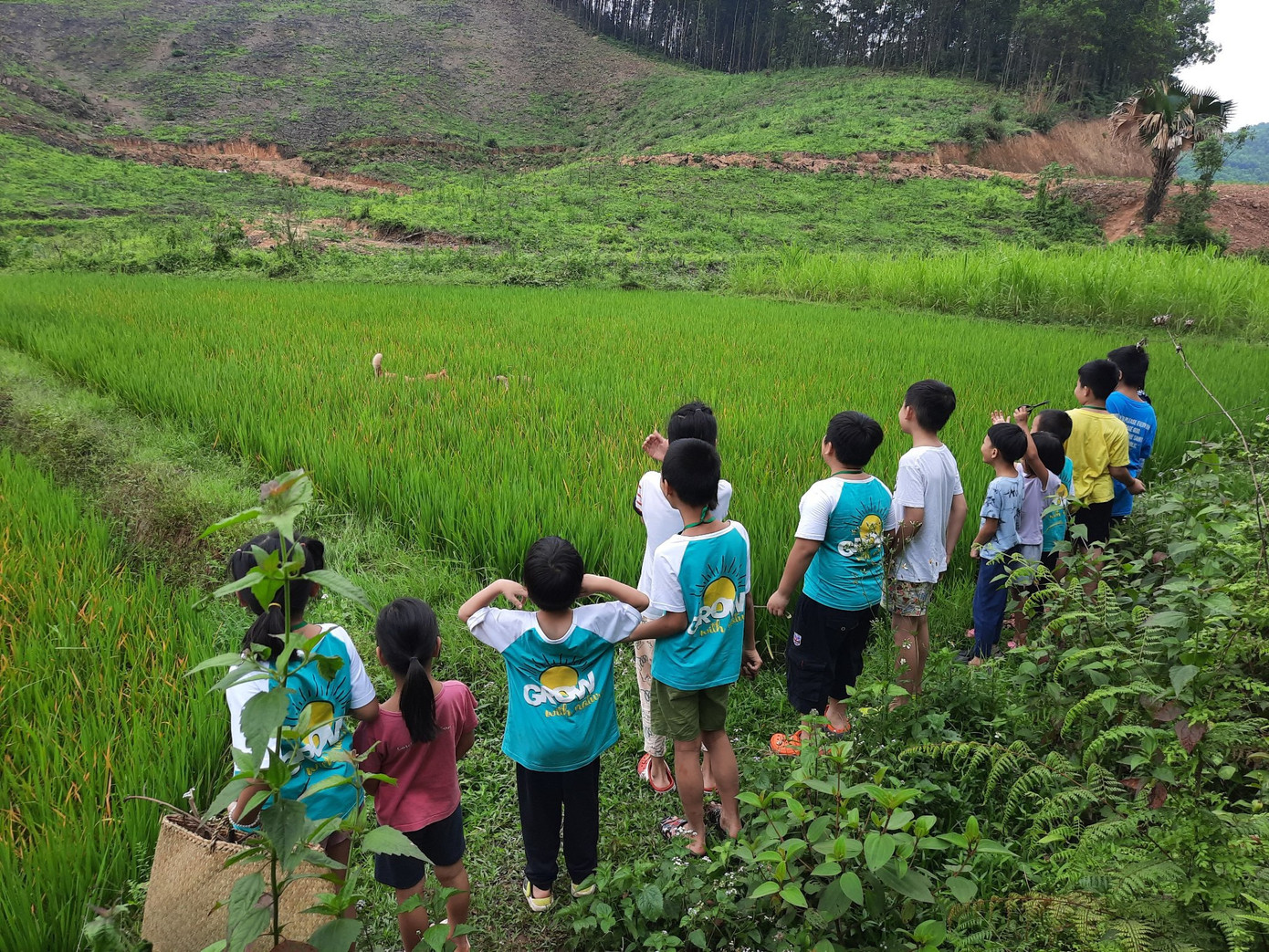 Trại Hè Làng Háo Hức thu hút hàng nghìn trại sinh mỗi năm. Trại Hè Làng Háo Hức thu hút hàng nghìn trại sinh mỗi năm.