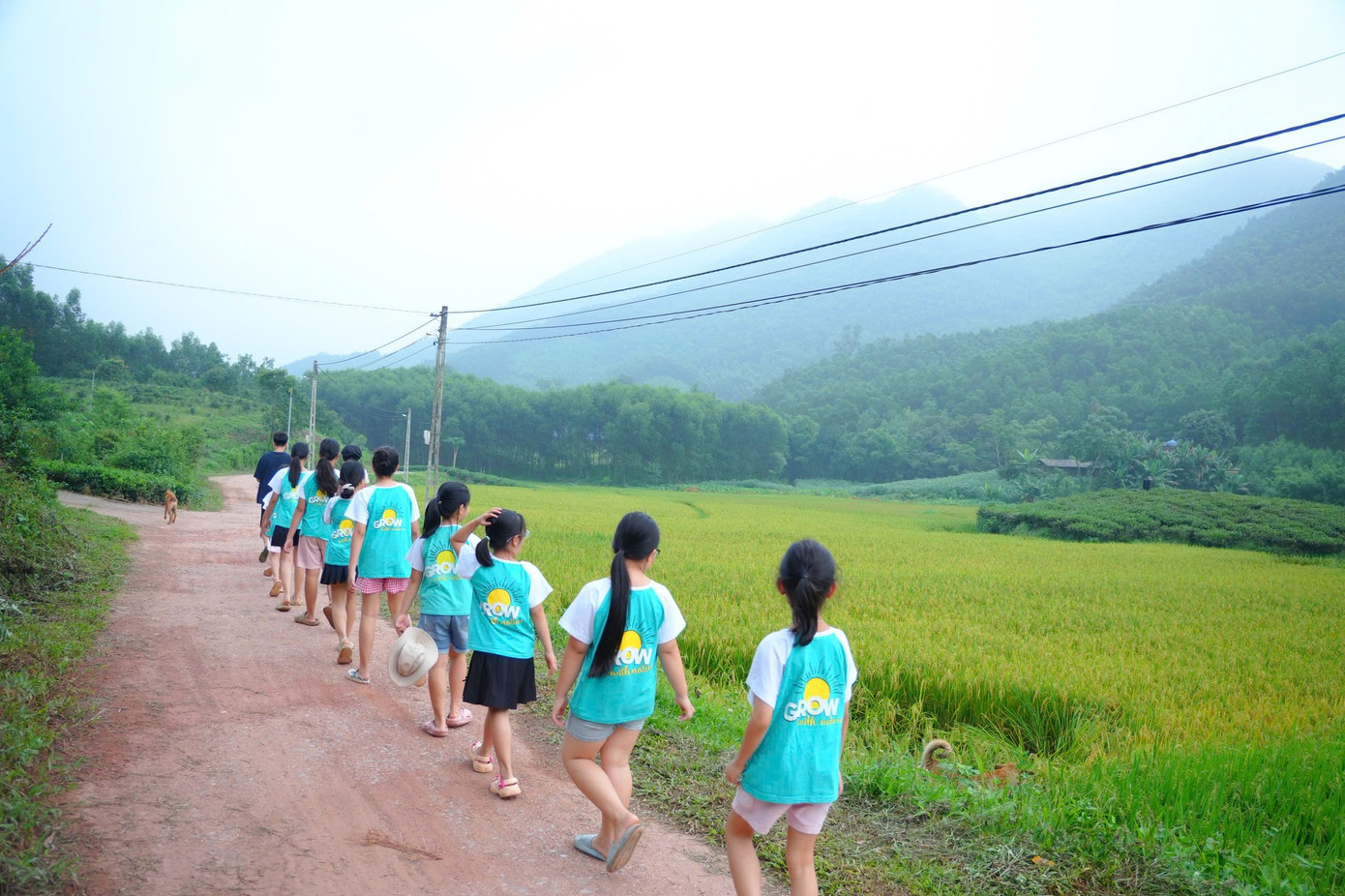 Các em nhỏ trải nghiệm cuộc sống đồng quê tại Làng Háo Hức. Các em nhỏ trải nghiệm cuộc sống đồng quê tại Làng Háo Hức.