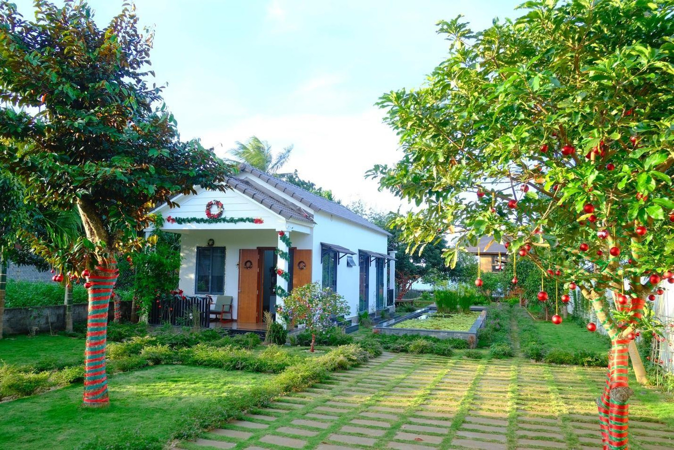 Gần 3000 trái châu đỏ - vàng được trang trí ở từng góc vườn, trên những thân cây lớn hay dưới giàn rau, tạo bầu không khí Giáng sinh thân thuộc, ấm cúng. Gần 3000 trái châu đỏ - vàng được trang trí ở từng góc vườn, trên những thân cây lớn hay dưới giàn rau, tạo bầu không khí Giáng sinh thân thuộc, ấm cúng.