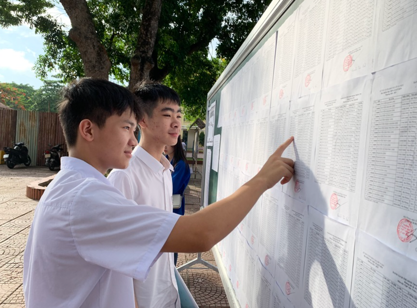 (Ảnh minh họa: Cổng thông tin TP Hải Phòng)