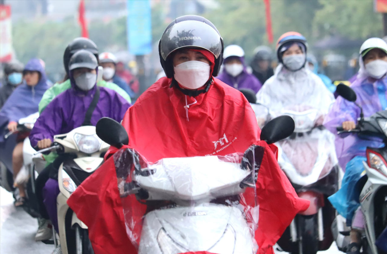 (Ảnh minh họa từ Internet)