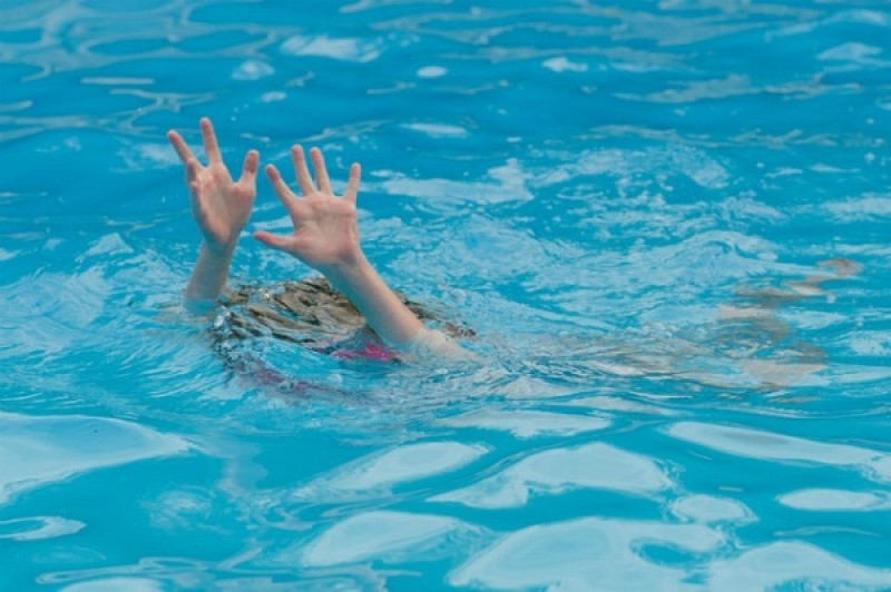 (Ảnh minh họa từ Internet)