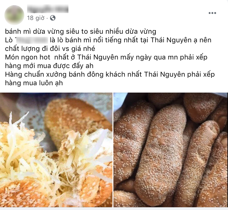 Một trong số những bài đăng về món bánh mì dừa nổi tiếng Thái Nguyên.