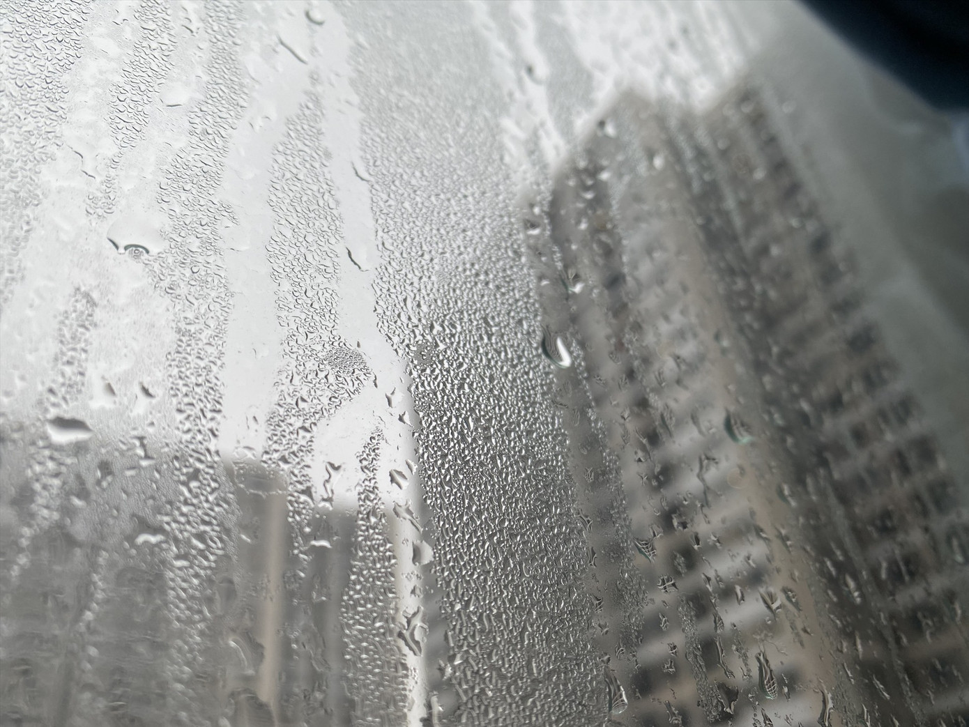 (Ảnh minh hoạ từ Internet)