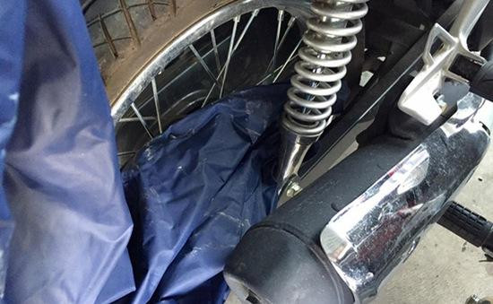 (Ảnh minh hoạ từ Internet)