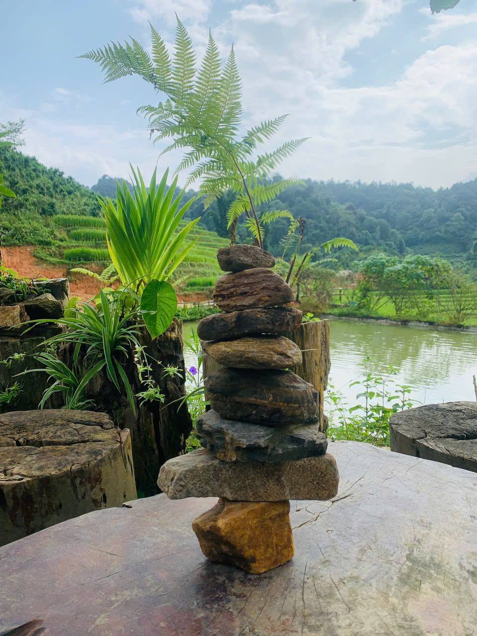 Ảnh: Fanpage Pine Homestay