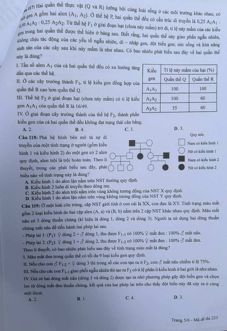 Đề thi tốt nghiệp THPT Quốc gia năm 2024 môn Sinh học mã đề 223. Đề thi tốt nghiệp THPT Quốc gia năm 2024 môn Sinh học mã đề 223.